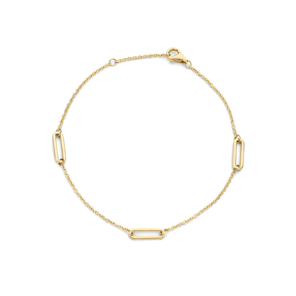 Blush 14ct Yellow Gold Fine Links Bracelet 2179YGO