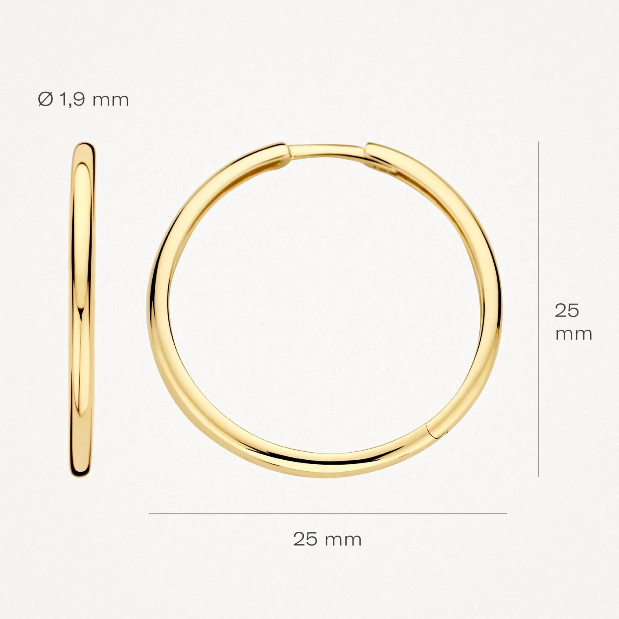 Blush 14ct Yellow Gold Medium Classic Hoop Earrings - Image 4
