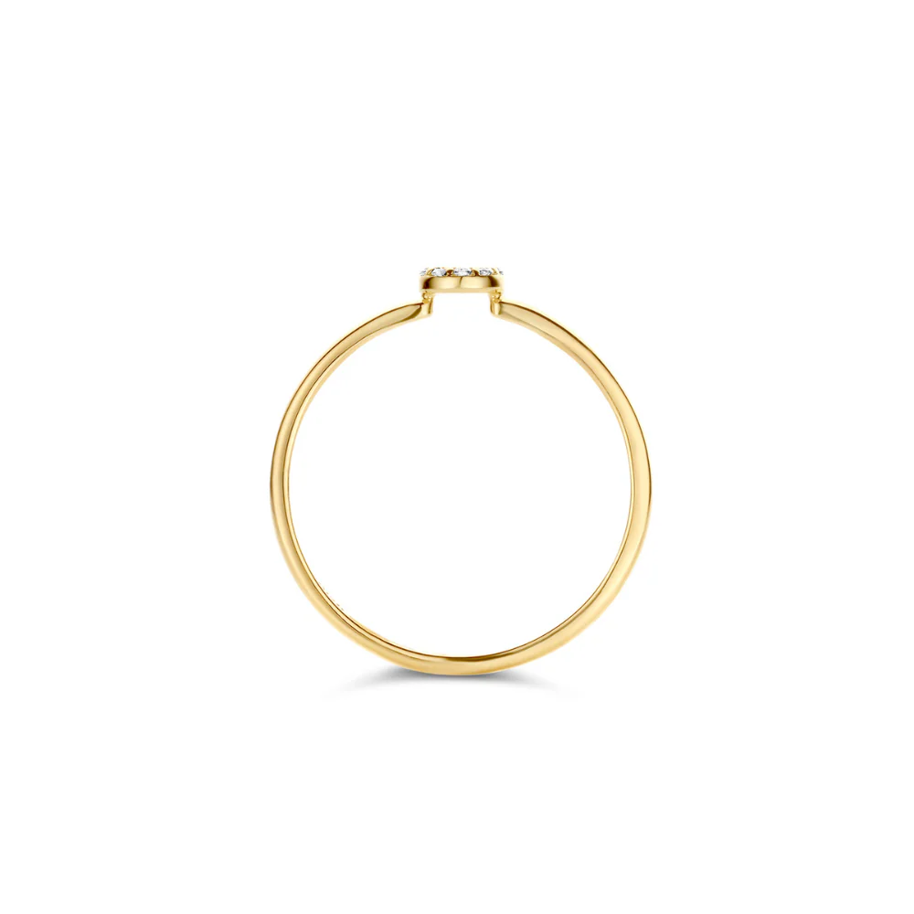 Blush 14ct Yellow Gold with Open Circle Zirconia Ring 1217YZI - Image 2