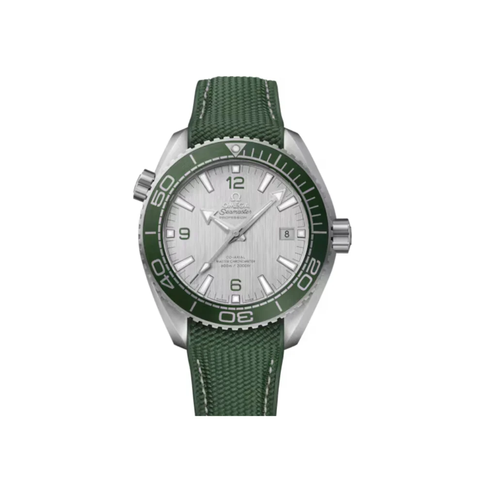 Omega Planet Ocean 600M Grey Dial Watch