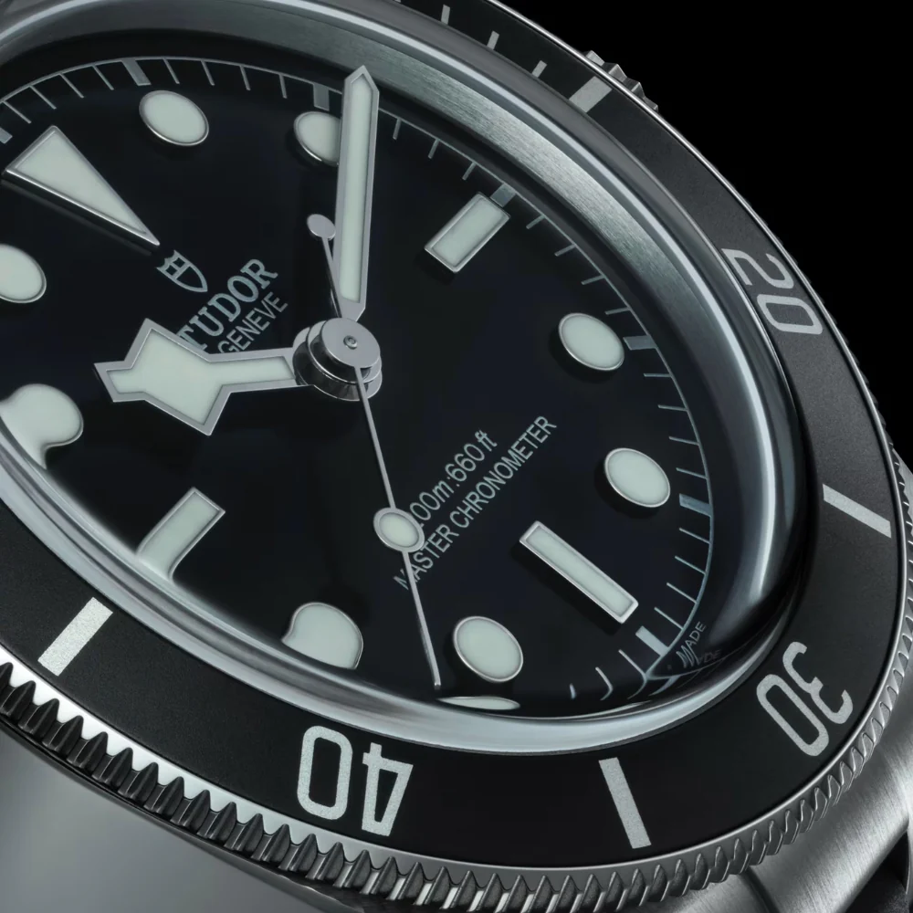 TUDOR Black Bay Rubber Strap 41mm Watch - Image 3